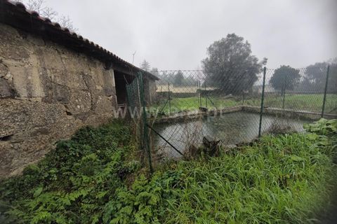 Helårsgrund i Barcelos, Braga, Barcelos - € 68.000 | Ref: 254260664 - foto 4
