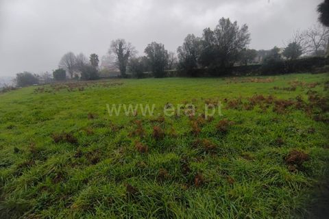 Helårsgrund i Barcelos, Braga, Barcelos - € 120.000 | Ref: 254260692 - foto 4