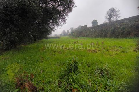Helårsgrund i Barcelos, Braga, Barcelos - € 120.000 | Ref: 254260692 - foto 7