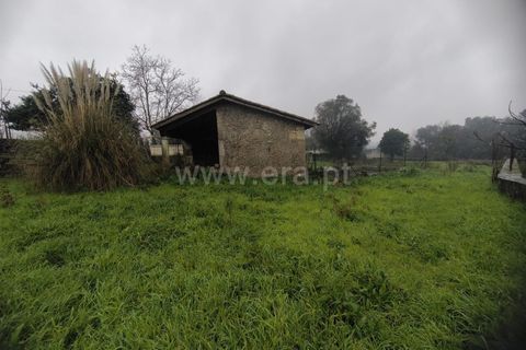 Helårsgrund i Barcelos, Braga, Barcelos - € 200.000 | Ref: 254260705 - foto 5