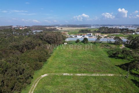 Villa i Torres Vedras, Lisbon, Torres Vedras - € 420.000 | Ref: 295250123 - foto 2