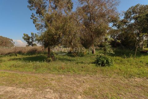 Villa i Torres Vedras, Lisbon, Torres Vedras - € 420.000 | Ref: 295250123 - foto 17