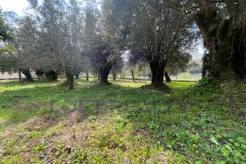 Villa i Viana do Castelo, Viana do Castelo, Viana do Castelo - € 265.000 | Ref: CAS_56 - foto 23