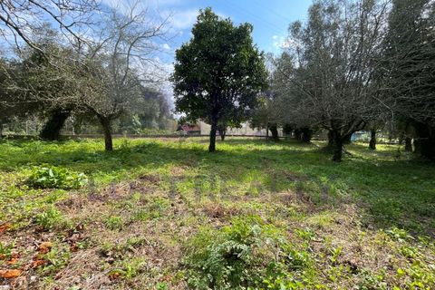 Villa i Viana do Castelo, Viana do Castelo, Viana do Castelo - € 265.000 | Ref: CAS_56 - foto 24