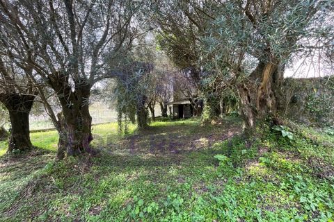Villa i Viana do Castelo, Viana do Castelo, Viana do Castelo - € 265.000 | Ref: CAS_56 - foto 25