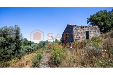 Farm i Melo e Nabais, Guarda, Melo e Nabais - € 150.000 | Ref: SAFTI:008290 - foto 2