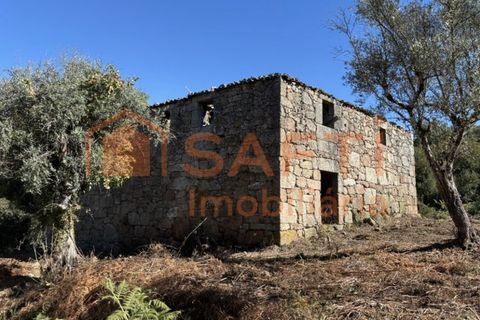 Farm i Melo e Nabais, Guarda, Melo e Nabais - € 150.000 | Ref: SAFTI:008290 - foto 5