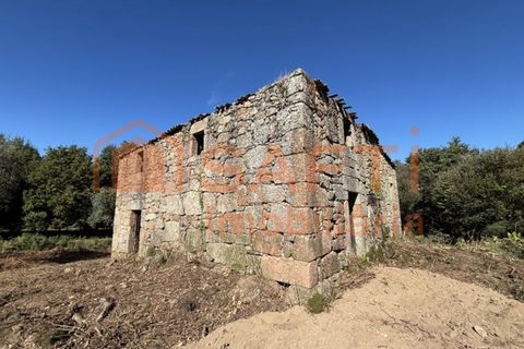 Farm i Melo e Nabais, Guarda, Melo e Nabais - € 150.000 | Ref: SAFTI:008290 - foto 6