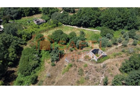 Farm i Melo e Nabais, Guarda, Melo e Nabais - € 150.000 | Ref: SAFTI:008290 - foto 8