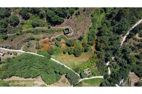 Farm i Melo e Nabais, Guarda, Melo e Nabais - € 150.000 | Ref: SAFTI:008290 - foto 9