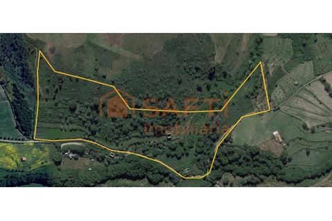 Farm i Melo e Nabais, Guarda, Melo e Nabais - € 150.000 | Ref: SAFTI:008290 - foto 11
