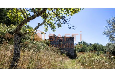 Farm i Melo e Nabais, Guarda, Melo e Nabais - € 150.000 | Ref: SAFTI:008290 - foto 12
