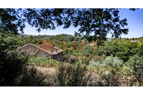 Farm i Melo e Nabais, Guarda, Melo e Nabais - € 150.000 | Ref: SAFTI:008290 - foto 16