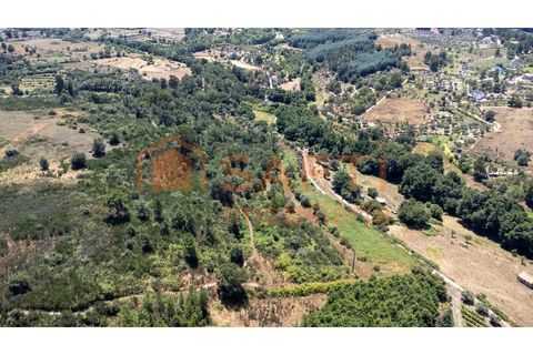 Farm i Melo e Nabais, Guarda, Melo e Nabais - € 150.000 | Ref: SAFTI:008290 - foto 17