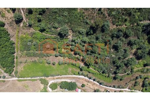 Farm i Melo e Nabais, Guarda, Melo e Nabais - € 150.000 | Ref: SAFTI:008290 - foto 18