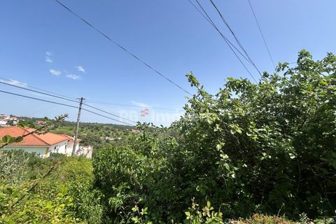Helårsgrund i Assentiz, Santarem, Assentiz - € 49.000 | Ref: 01918-26 - foto 7