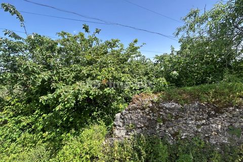 Helårsgrund i Assentiz, Santarem, Assentiz - € 49.000 | Ref: 01918-26 - foto 11