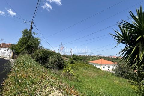 Helårsgrund i Assentiz, Santarem, Assentiz - € 49.000 | Ref: 01918-26 - foto 13