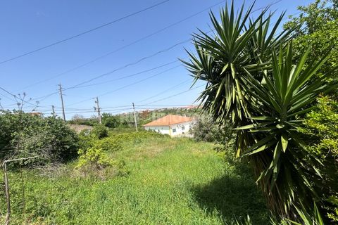 Helårsgrund i Assentiz, Santarem, Assentiz - € 49.000 | Ref: 01918-26 - foto 14