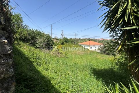 Helårsgrund i Assentiz, Santarem, Assentiz - € 49.000 | Ref: 01918-26 - foto 15