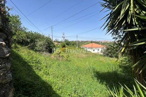 Helårsgrund i Assentiz, Santarem, Assentiz - € 49.000 | Ref: 01918-26 - foto 16