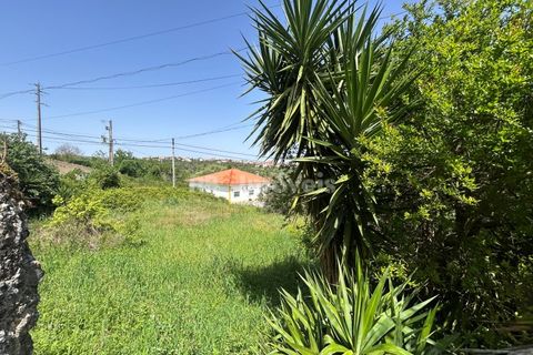 Helårsgrund i Assentiz, Santarem, Assentiz - € 49.000 | Ref: 01918-26 - foto 17