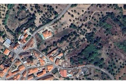 Helårsgrund i Assentiz, Santarem, Assentiz - € 49.000 | Ref: 01918-26 - foto 19