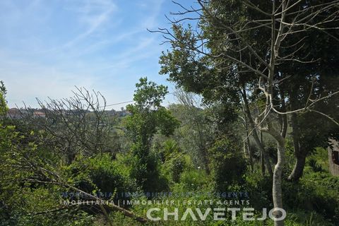 Byhus i Ourem, Santarem, Ourem - € 135.000 | Ref: 517/26 - foto 42