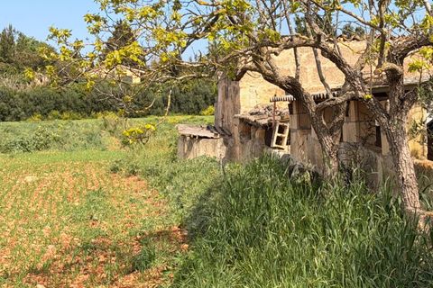 Villa a Llubi, Mallorca, Llubi - € 3.995.000 | Ref: 996 - foto 21