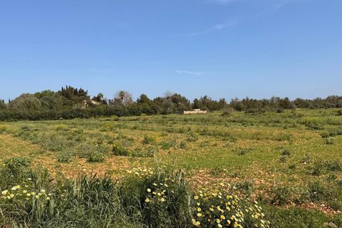 Villa a Llubi, Mallorca, Llubi - € 3.995.000 | Ref: 996 - foto 22