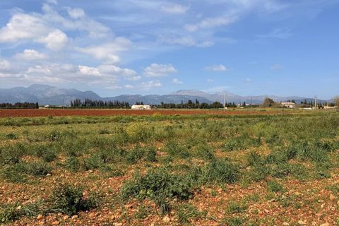 Villa a Llubi, Mallorca, Llubi - € 3.995.000 | Ref: 996 - foto 23