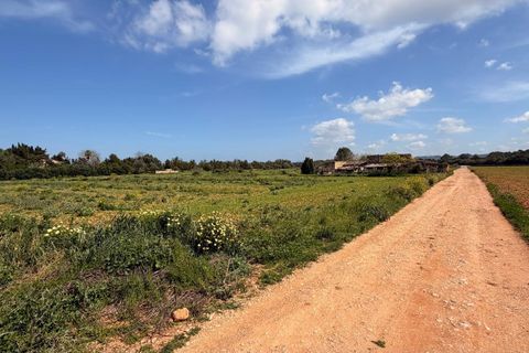 Helårsgrund i Llubi, Mallorca, Llubi - € 1.200.000 | Ref: 996P - foto 1