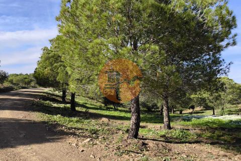 Helårsgrund i Castro Marim, Faro, Castro Marim - € 99.900 | Ref: SU-CS-TER-91840 - foto 4