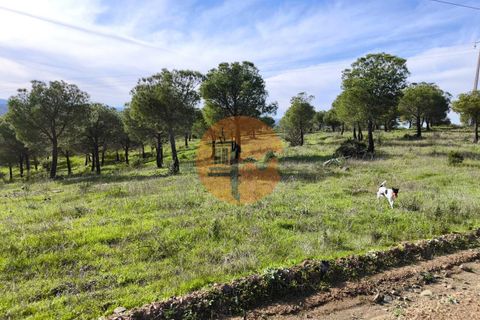 Helårsgrund i Castro Marim, Faro, Castro Marim - € 99.900 | Ref: SU-CS-TER-91840 - foto 5