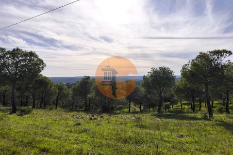 Helårsgrund i Castro Marim, Faro, Castro Marim - € 99.900 | Ref: SU-CS-TER-91840 - foto 11