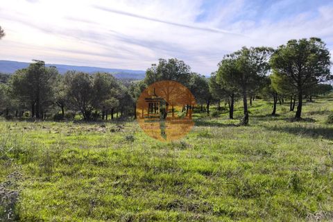 Helårsgrund i Castro Marim, Faro, Castro Marim - € 99.900 | Ref: SU-CS-TER-91840 - foto 12
