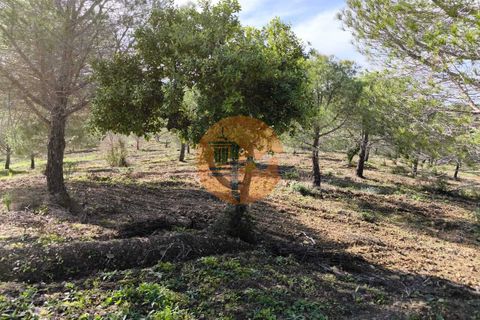 Helårsgrund i Castro Marim, Faro, Castro Marim - € 99.900 | Ref: SU-CS-TER-91840 - foto 16