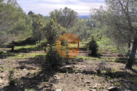 Helårsgrund i Castro Marim, Faro, Castro Marim - € 99.900 | Ref: SU-CS-TER-91840 - foto 18