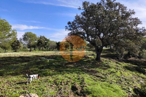 Helårsgrund i Castro Marim, Faro, Castro Marim - € 99.900 | Ref: SU-CS-TER-91840 - foto 20