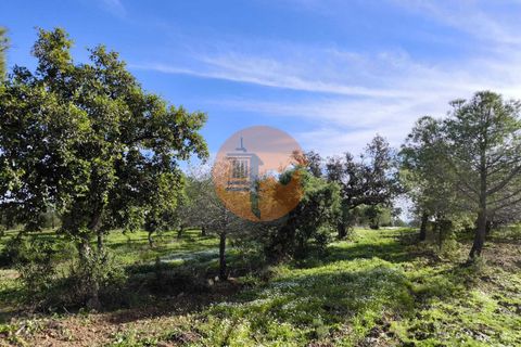 Helårsgrund i Castro Marim, Faro, Castro Marim - € 99.900 | Ref: SU-CS-TER-91840 - foto 21