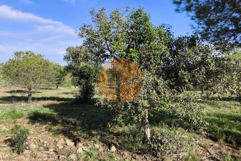 Helårsgrund i Castro Marim, Faro, Castro Marim - € 99.900 | Ref: SU-CS-TER-91840 - foto 22