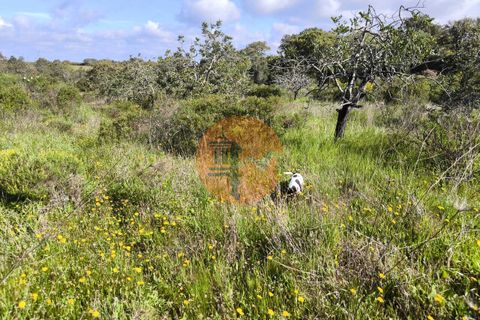 Helårsgrund i Castro Marim, Faro, Castro Marim - € 49.000 | Ref: SU-CS-TER-94084 - foto 6