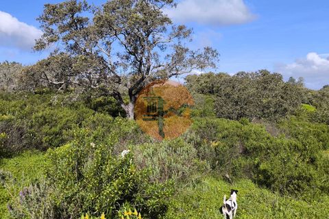 Helårsgrund i Castro Marim, Faro, Castro Marim - € 49.000 | Ref: SU-CS-TER-94084 - foto 8