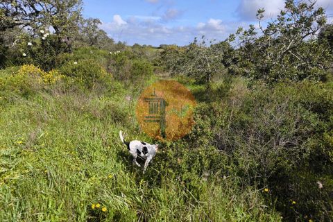 Helårsgrund i Castro Marim, Faro, Castro Marim - € 49.000 | Ref: SU-CS-TER-94084 - foto 9