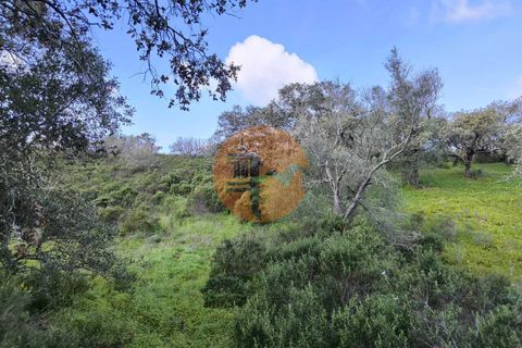 Helårsgrund i Castro Marim, Faro, Castro Marim - € 49.000 | Ref: SU-CS-TER-94084 - foto 14
