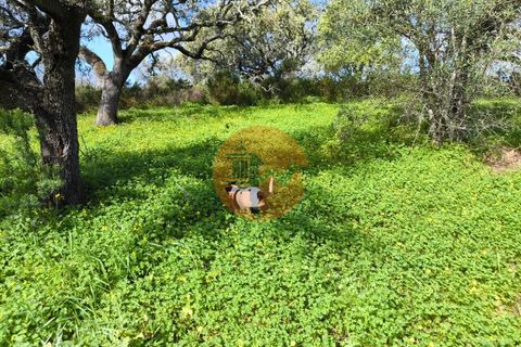 Helårsgrund i Castro Marim, Faro, Castro Marim - € 49.000 | Ref: SU-CS-TER-94084 - foto 18