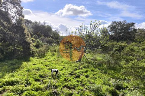 Helårsgrund i Castro Marim, Faro, Castro Marim - € 49.000 | Ref: SU-CS-TER-94084 - foto 21