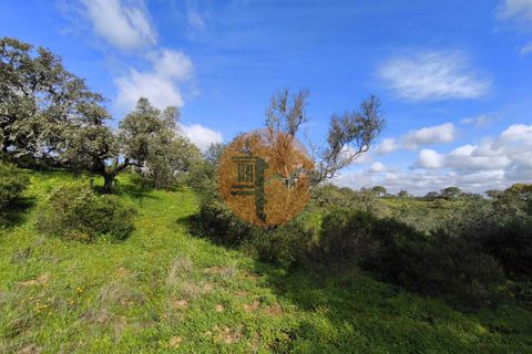 Helårsgrund i Castro Marim, Faro, Castro Marim - € 49.000 | Ref: SU-CS-TER-94084 - foto 22