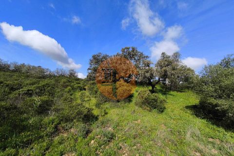 Helårsgrund i Castro Marim, Faro, Castro Marim - € 49.000 | Ref: SU-CS-TER-94084 - foto 23
