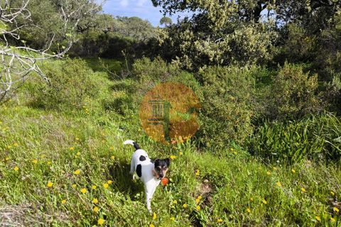 Helårsgrund i Castro Marim, Faro, Castro Marim - € 49.000 | Ref: SU-CS-TER-94084 - foto 25